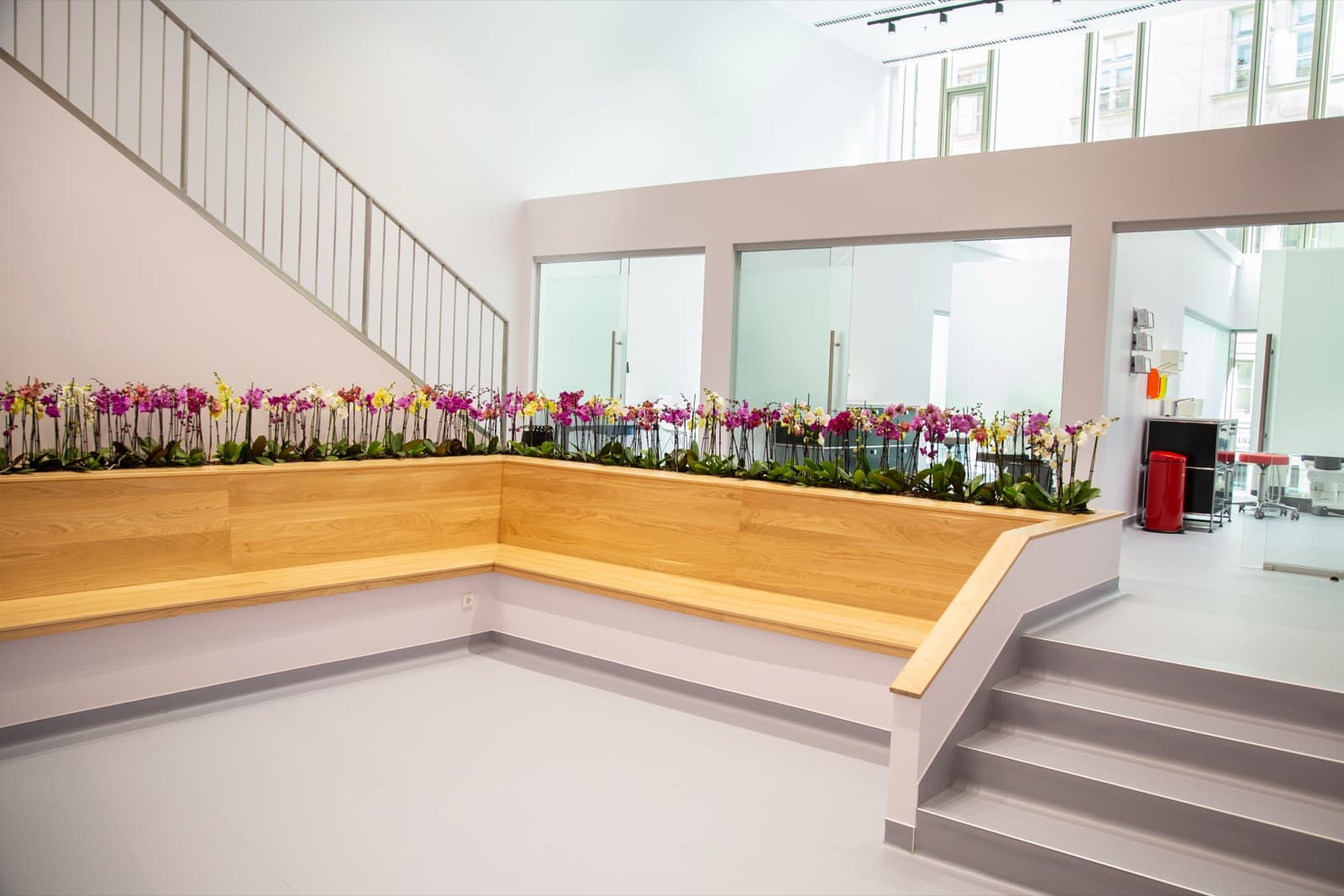 Wooden bench with orchids in front of glazed treatment rooms.